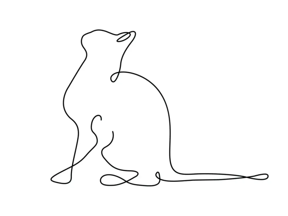 Affiche illustration noir et blanc Aquarupella Chat - 30 x 40 cm