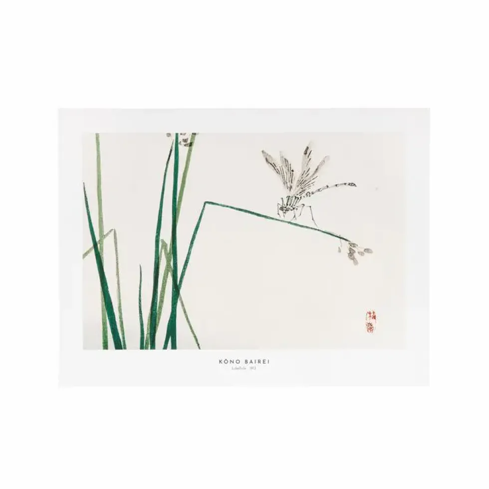Affiche libellule - 30 x 40 cm