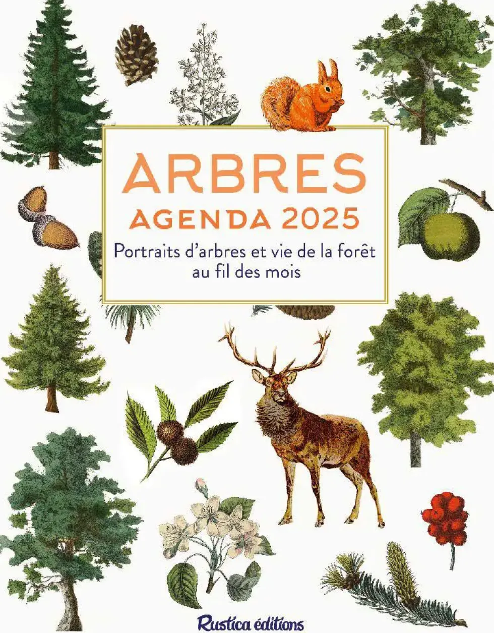 Agenda "Arbres 2025, Portraits d’arbres et vie de la forêt au fil des mois" aux Éditions Rustica