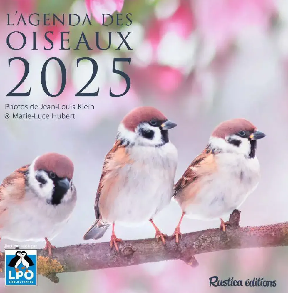 Agenda "L'agenda des oiseaux 2025" aux Éditions Rustica