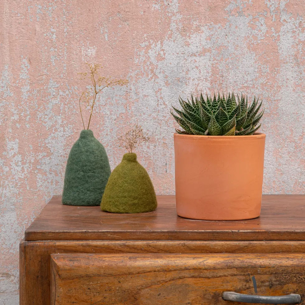Aloe aristata botanic®. Le pot en terre cuite de Ø 14 cm
