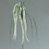 Amaranthus artificiel H70 cm