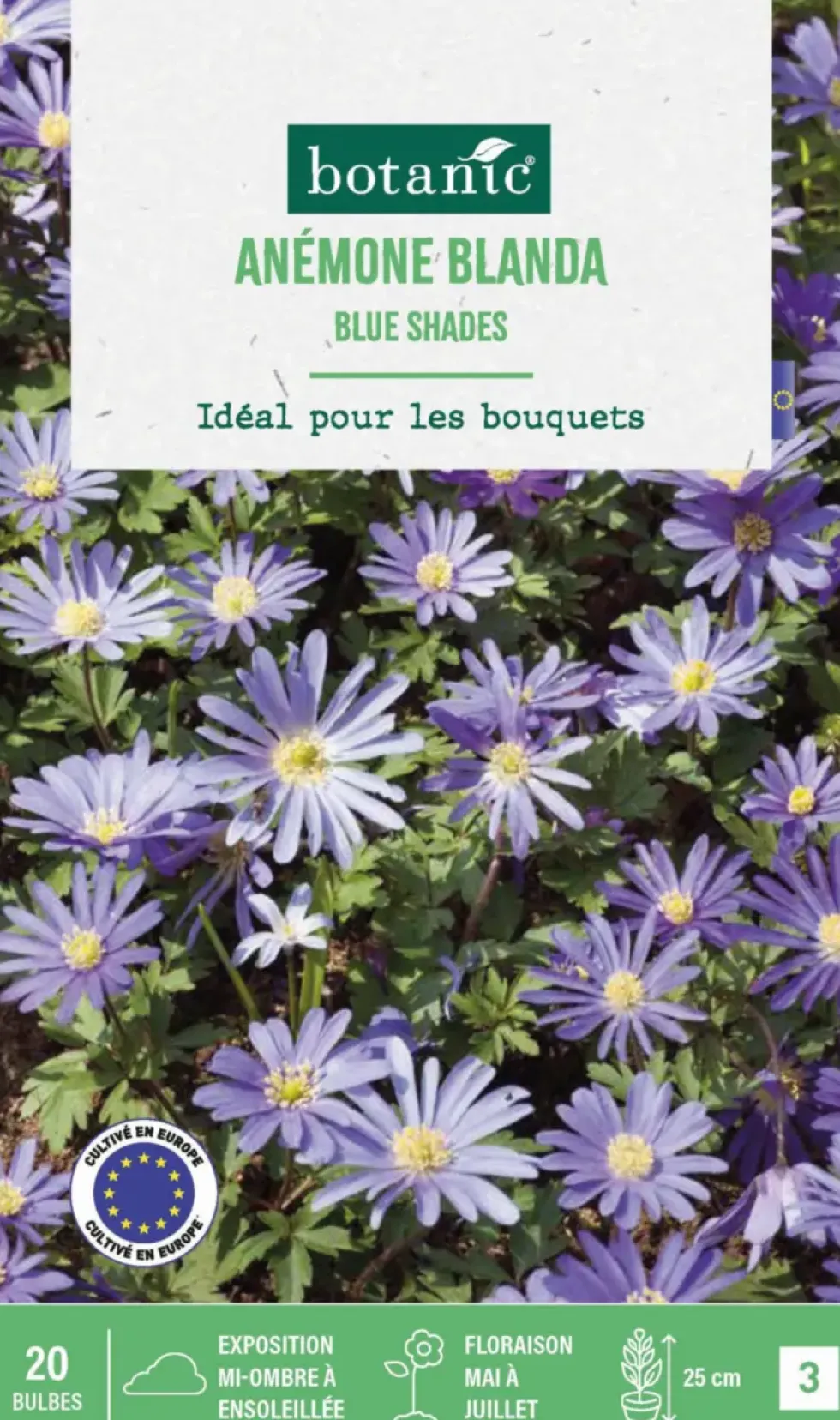 Anémone blanda blue shades en mélange botanic® - 20 bulbes