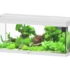 Aquarium coloris blanc Aquatlantis Prestige LED 2.0 144 L - 100 x 40 x 40 cm