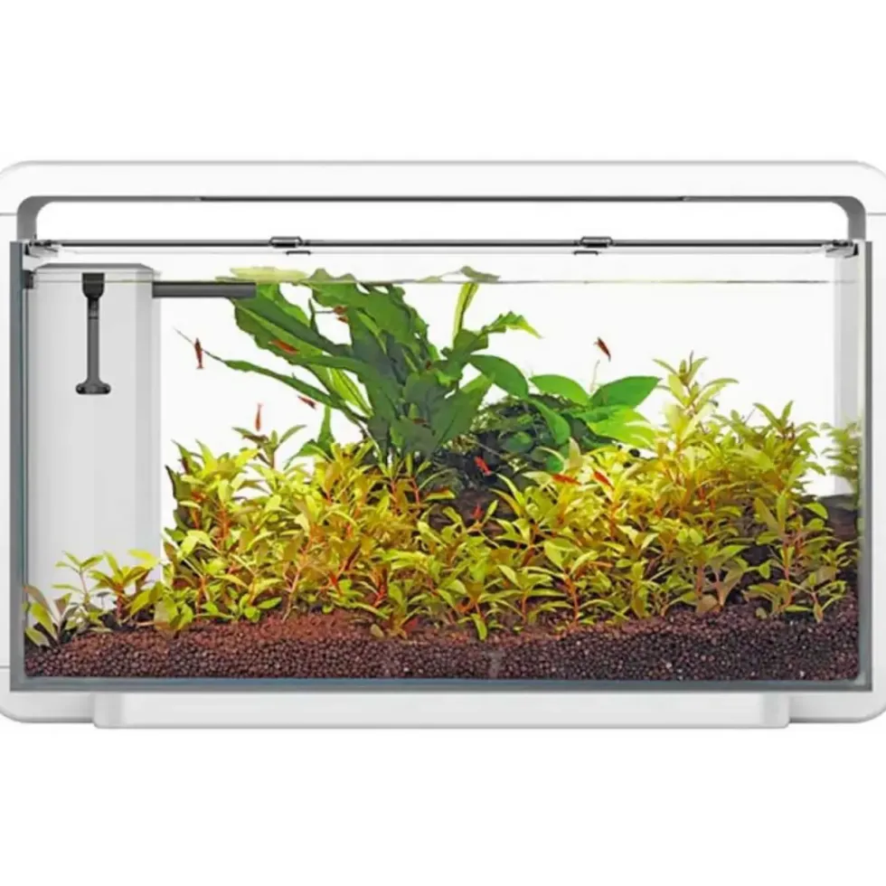 Aquarium complet tout équipé, 25L - SUPERFISH HOME 30