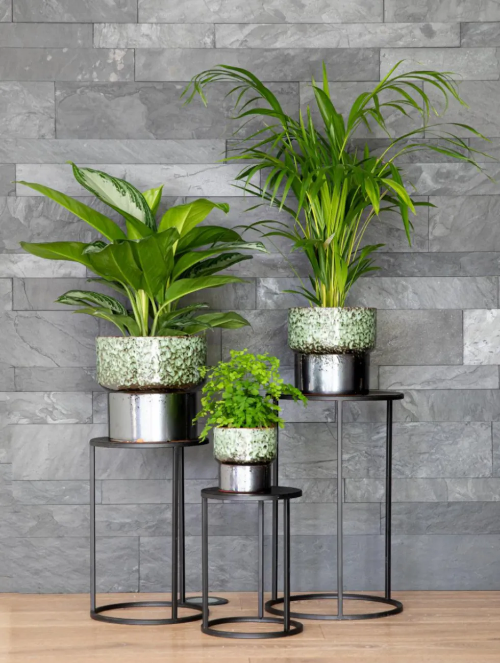 Areca. Le pot Ø 21 cm