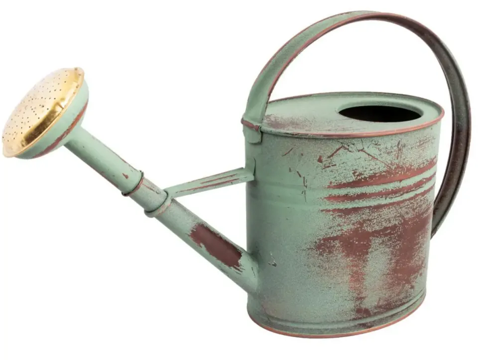 Arrosoir en acier galvanisé coloris vert vieilli Nogent - 4 L