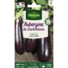 Aubergine de Barbentane Vilmorin - graines à semer