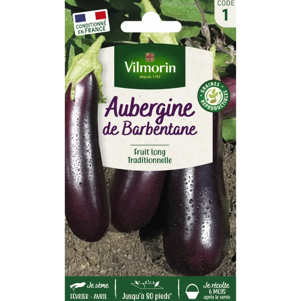 Aubergine de Barbentane Vilmorin - graines à semer