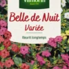 Belle-de-nuit Variée Vilmorin - graines à semer