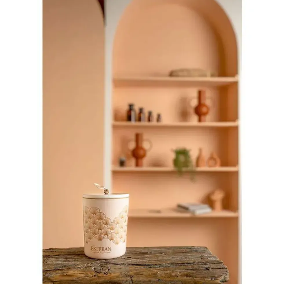 Bougie déco parfumée et rechargeable Iris cachemire Esteban - 180g