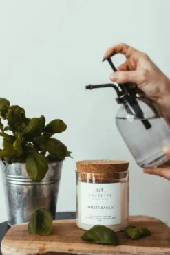 Bougie parfumée avec pochon Saugettes Les Essentielles senteur tomate Basilic - 100 g