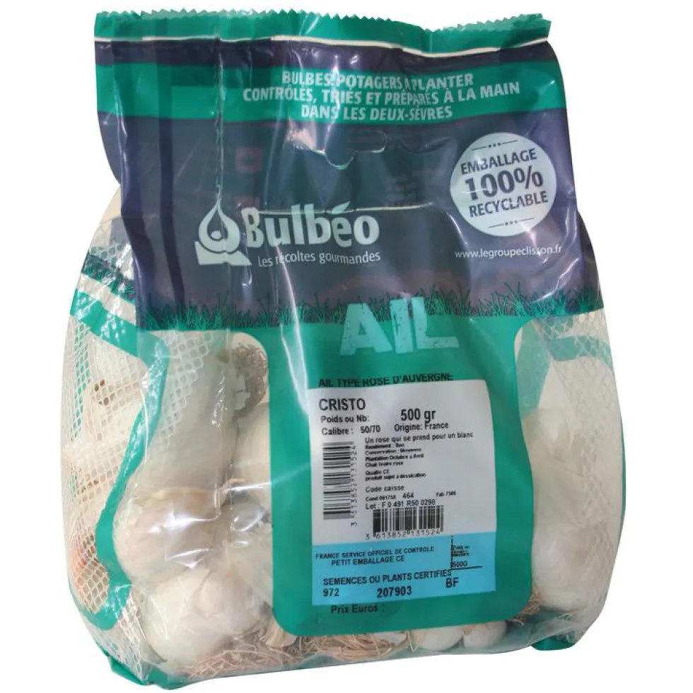 Bulbes d’ail rose cristo calibre 50+, 500 g