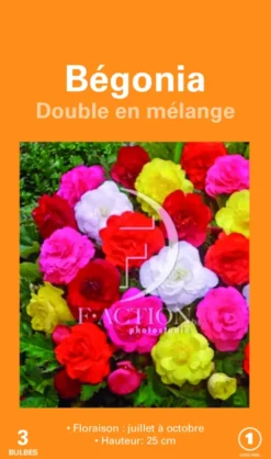 Bulbes de fleurs Bégonia double en mélange botanic® – 3 bulbes