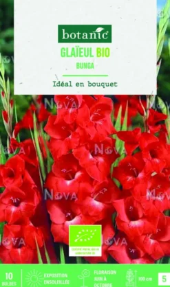 Bulbes de fleurs Glaïeul grandes fleurs Bunga bio botanic® - 10 bulbes