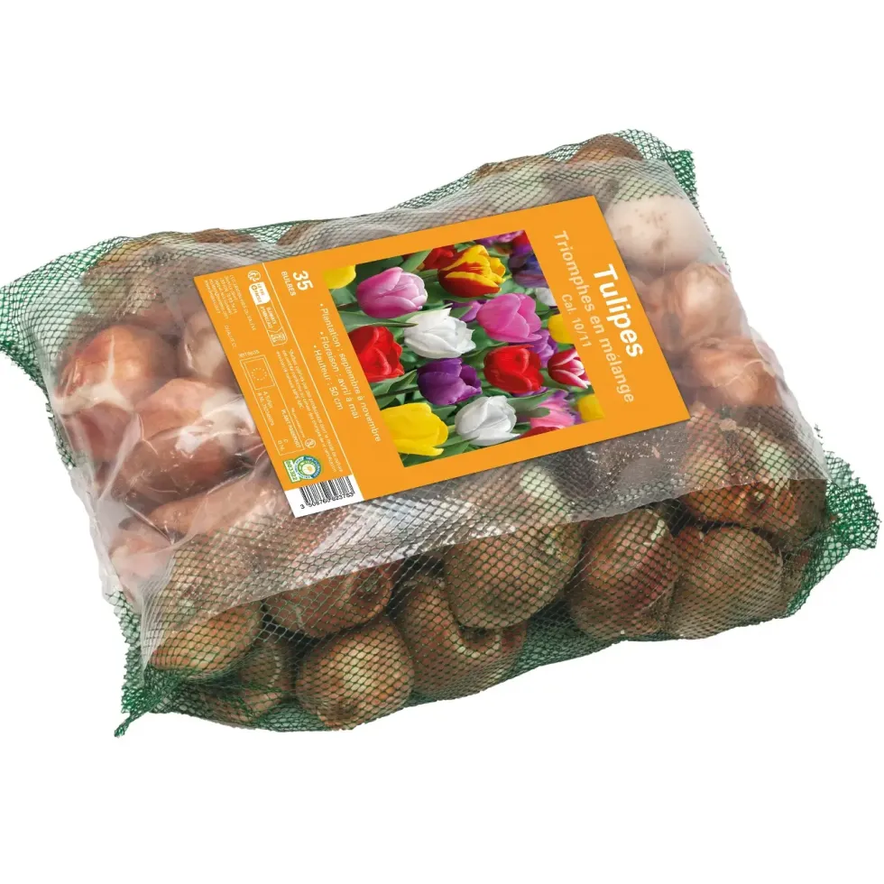 Bulbes de fleurs Tulipe triomphe mix botanic® - 35 bulbes