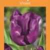 Bulbes de fleurs Tulipe violet botanic® - 7 bulbes