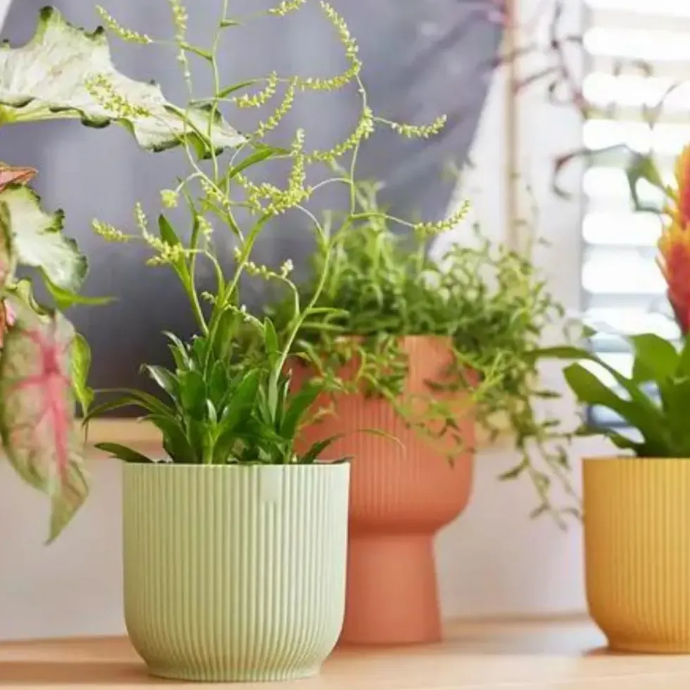 Cache-pot en plastique recyclé vert sorbet Elho Vibes fold rond mini - Ø 9 cm