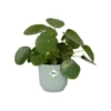 Cache-pot en plastique recyclé vert sorbet Elho Vibes fold rond - Ø 14 cm