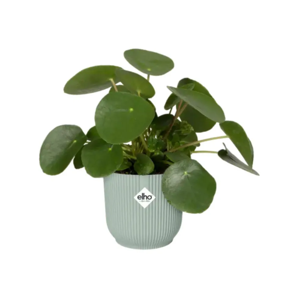 Cache-pot en plastique recyclé vert sorbet Elho Vibes fold rond - Ø 14 cm