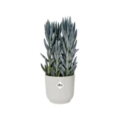 Cache-pot vibes fold B16 Ø 16 cm