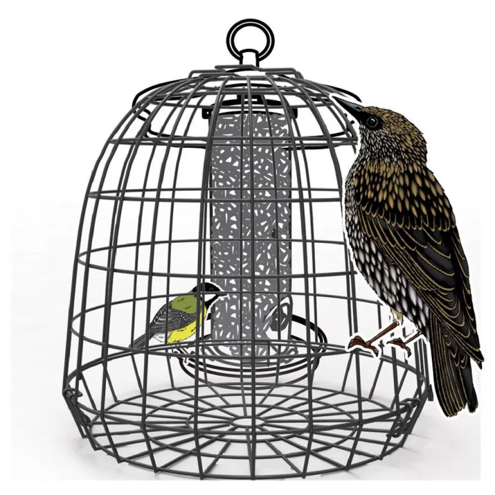 Cage de protection anti-étourneaux noire en métal Ø 27,5 x 25 cm