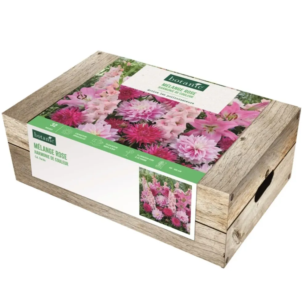 Cagette de 32 bulbes en mélange harmonie rose botanic®