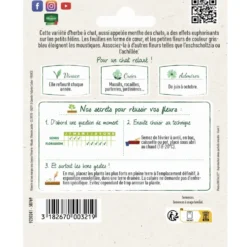 Cataire spéciale pour animaux Menthe des Chats Vilmorin - graines à semer