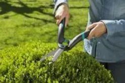 Cisaille à buis Gardena Precisioncut