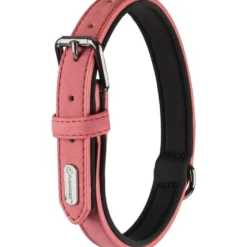 Collier chien Delu rouge 20/25 x 1 cm
