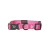 Collier chien réglable 20mm / 40-55cm rose