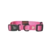 Collier chien réglable 16mm / 30-45cm rose