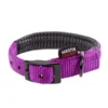 Collier droit Confort pour chien coloris mauve - 1,6x35 cm