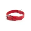 Collier pour chien en cuir coloris rouge cousu Martin Sellier 499 - Taille 35/70