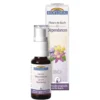 Complexe n°1 Biofloral dépendances en spray de 20 ml