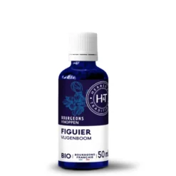 Complément alimentaire gemmo macérat figuier bio Herbes et Traditions - 50 ml
