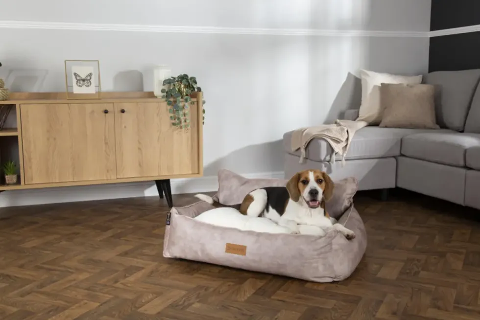 Corbeille pour chien beige Kensington Scruffs – Taille M