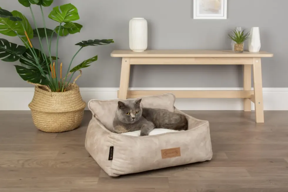 Corbeille pour chien beige Kensington Scruffs – Taille M