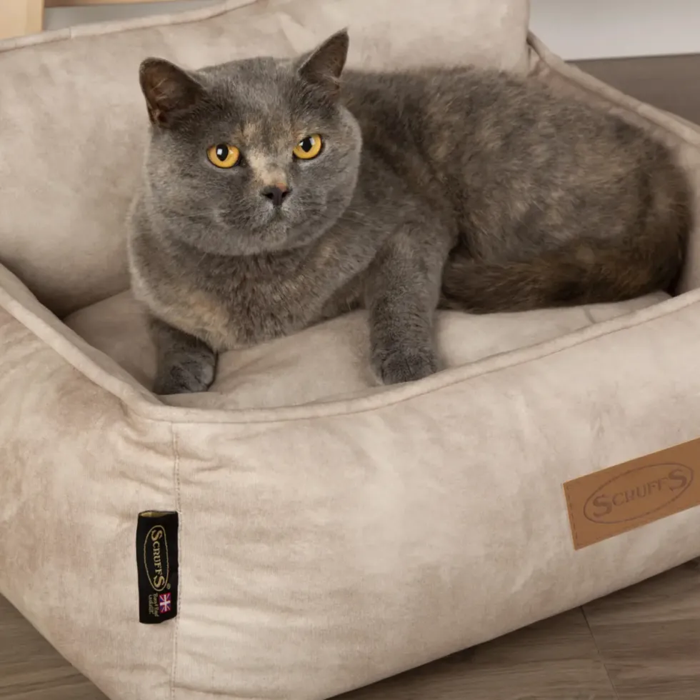 Corbeille pour chien beige Kensington Scruffs – Taille M