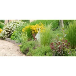 Écorce de pin maritime 20/40 mm botanic® - 60 L