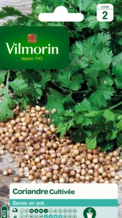 Coriandre Cultivée Vilmorin - graines à semer