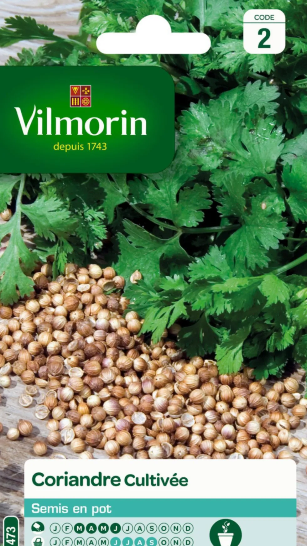 Coriandre Cultivée Vilmorin - graines à semer