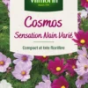 Cosmos Sensation Nain Varié Vilmorin - graines à semer