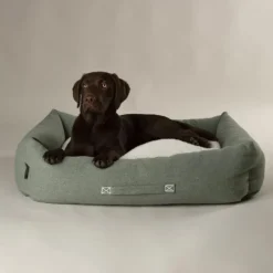 Couchage pour chien coloris vert corbeille Scruffs Eco Eden - Taille L 75 x 60 cm