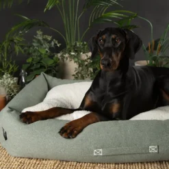 Couchage pour chien coloris vert corbeille Scruffs Eco Eden - Taille XL 90 x 70 cm