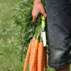 Couteau Mon Premier Opinel coloris vert n°7 Opinel