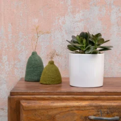 Crassula argentea en pot blanc émaillé H 10 x Ø 15 cm
