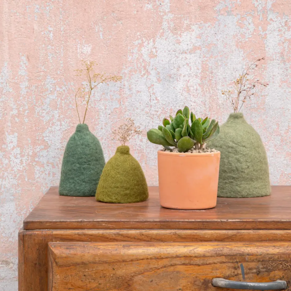 Crassula sunset en pot terre cuite H 10 x Ø 15 cm