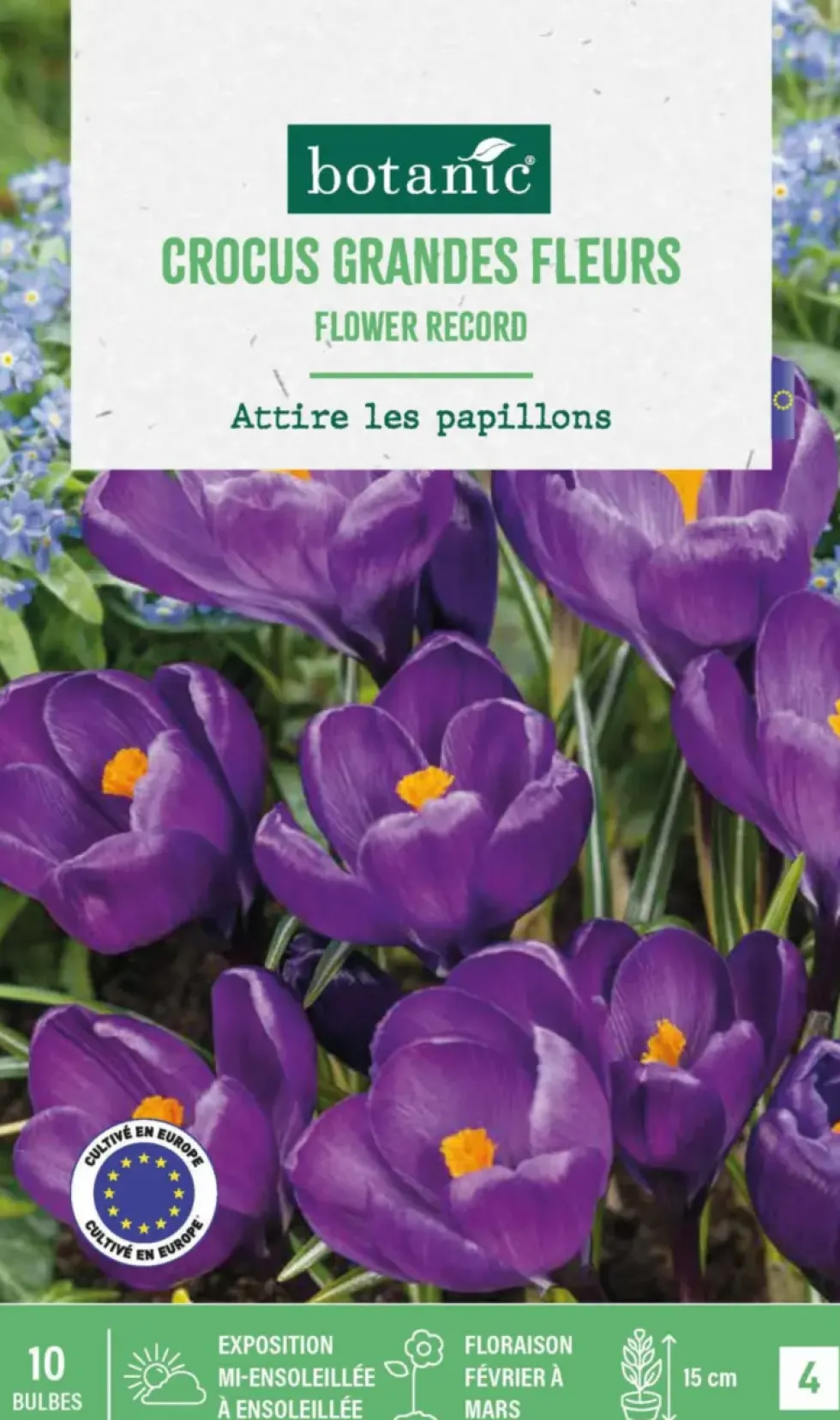 Crocus en mélange botanic® - 10 bulbes