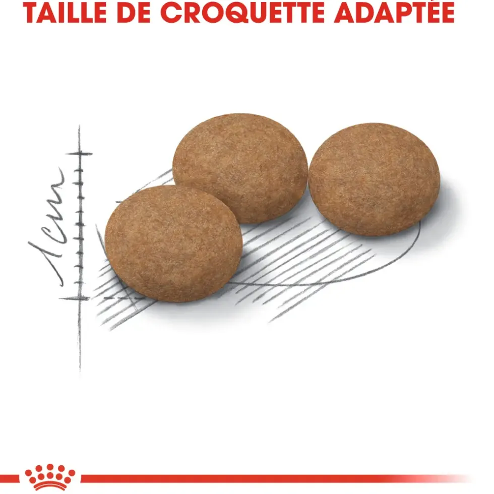 Croquette pour chat mature stérilisé Royal Canin - 2 kg